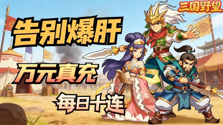 三国野望